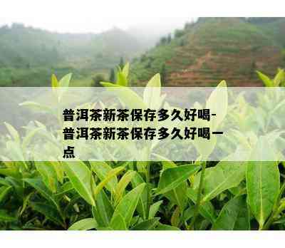 普洱茶新茶保存多久好喝-普洱茶新茶保存多久好喝一点