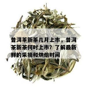 普洱茶新茶几月上市，普洱茶新茶何时上市？了解最新鲜的采摘和烘焙时间