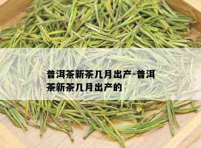 普洱茶新茶几月出产-普洱茶新茶几月出产的