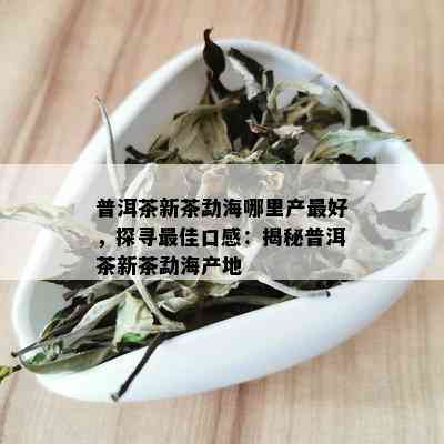 普洱茶新茶勐海哪里产更好，探寻更佳口感：揭秘普洱茶新茶勐海产地