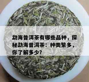 勐海普洱茶有哪些品种，探秘勐海普洱茶：种类繁多，你了解多少？