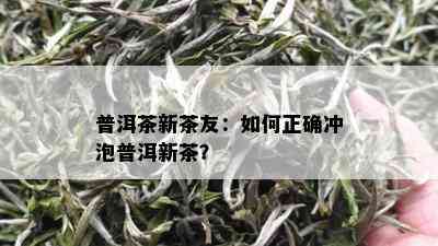 普洱茶新茶友：如何正确冲泡普洱新茶？