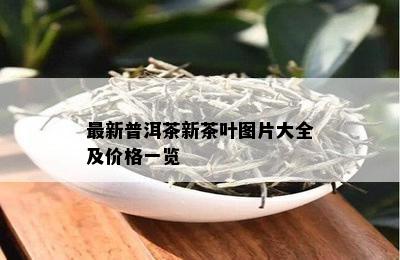 最新普洱茶新茶叶图片大全及价格一览