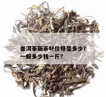 普洱茶新茶叶价格是多少？一般多少钱一斤？