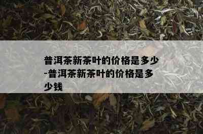 普洱茶新茶叶的价格是多少-普洱茶新茶叶的价格是多少钱