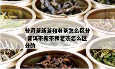 普洱茶新茶和老茶怎么区分-普洱茶新茶和老茶怎么区分的