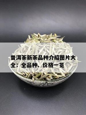 普洱茶新茶品种介绍图片大全：全品种、价格一览