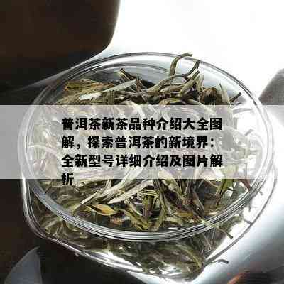 普洱茶新茶品种介绍大全图解，探索普洱茶的新境界：全新型号详细介绍及图片解析