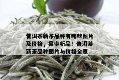 普洱茶新茶品种有哪些图片及价格，探索新品！普洱茶新茶品种图片与价格全览