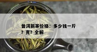 普洱新茶价格：多少钱一斤？克？全解