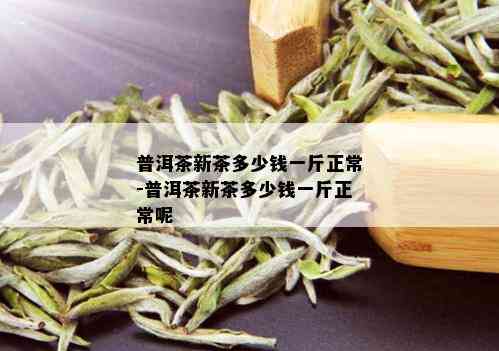 普洱茶新茶多少钱一斤正常-普洱茶新茶多少钱一斤正常呢