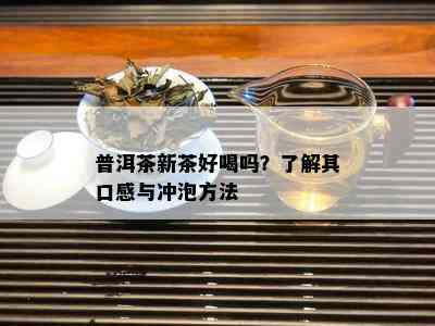 普洱茶新茶好喝吗？了解其口感与冲泡方法