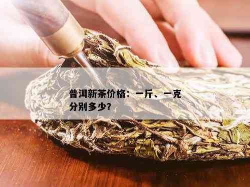 普洱新茶价格：一斤、一克分别多少？