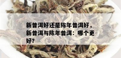 新普洱好还是陈年普洱好，新普洱与陈年普洱：哪个更好？