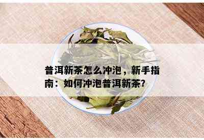 普洱新茶怎么冲泡，新手指南：如何冲泡普洱新茶？