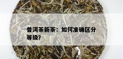 普洱茶新茶：如何准确区分等级？