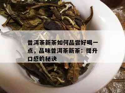 普洱茶新茶如何品尝好喝一点，品味普洱茶新茶：提升口感的秘诀