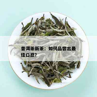 普洱茶新茶：如何品尝出更佳口感？