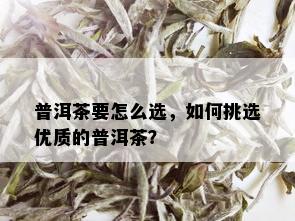 普洱茶要怎么选，如何挑选优质的普洱茶？