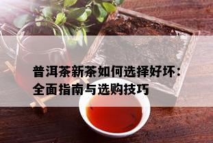 普洱茶新茶如何选择好坏：全面指南与选购技巧