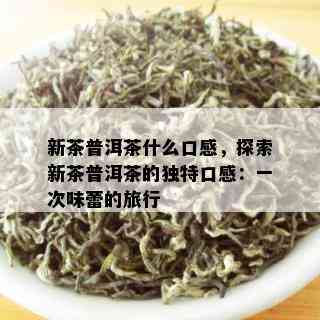 新茶普洱茶什么口感，探索新茶普洱茶的独特口感：一次味蕾的旅行