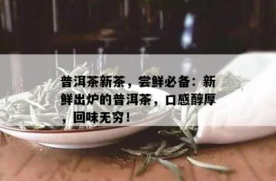 普洱茶新茶，尝鲜必备：新鲜出炉的普洱茶，口感醇厚，回味无穷！