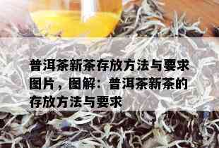 普洱茶新茶存放方法与要求图片，图解：普洱茶新茶的存放方法与要求