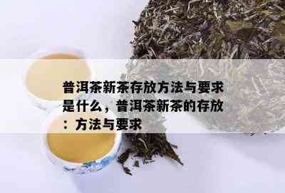 普洱茶新茶存放方法与要求是什么，普洱茶新茶的存放：方法与要求