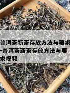 普洱茶新茶存放方法与要求-普洱茶新茶存放方法与要求视频