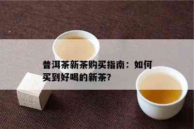 普洱茶新茶购买指南：如何买到好喝的新茶？