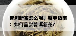 普洱新茶怎么喝，新手指南：如何品尝普洱新茶？