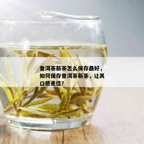 普洱茶新茶怎么保存更好，如何保存普洱茶新茶，让其口感更佳？