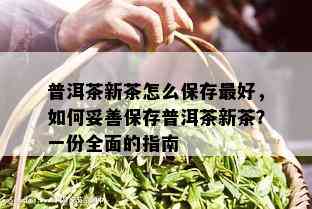 普洱茶新茶怎么保存更好，如何妥善保存普洱茶新茶？一份全面的指南