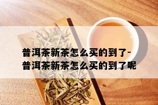 普洱茶新茶怎么买的到了-普洱茶新茶怎么买的到了呢