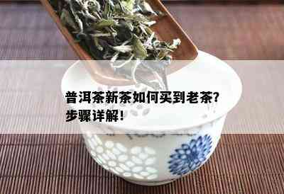 普洱茶新茶如何买到老茶？步骤详解！