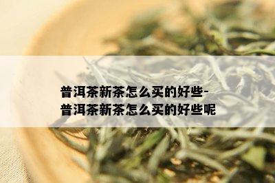 普洱茶新茶怎么买的好些-普洱茶新茶怎么买的好些呢