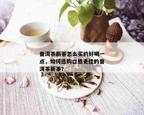 普洱茶新茶怎么买的好喝一点，如何选购口感更佳的普洱茶新茶？