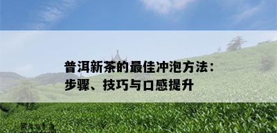 普洱新茶的更佳冲泡方法：步骤、技巧与口感提升