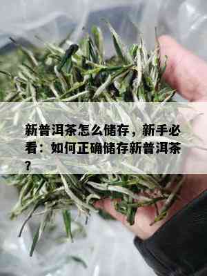 新普洱茶怎么储存，新手必看：如何正确储存新普洱茶？