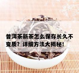 普洱茶新茶怎么保存长久不变质？详细方法大揭秘！