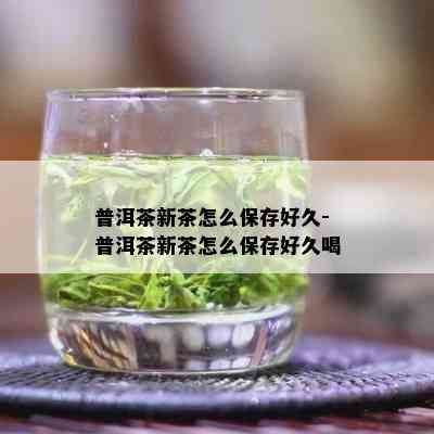 普洱茶新茶怎么保存好久-普洱茶新茶怎么保存好久喝