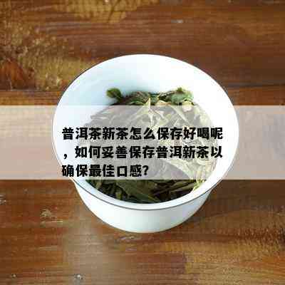 普洱茶新茶怎么保存好喝呢，如何妥善保存普洱新茶以确保更佳口感？