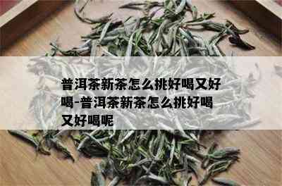 普洱茶新茶怎么挑好喝又好喝-普洱茶新茶怎么挑好喝又好喝呢