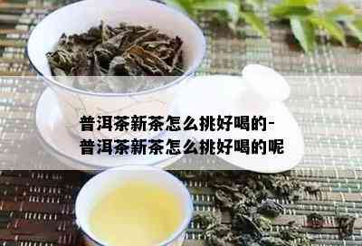 普洱茶新茶怎么挑好喝的-普洱茶新茶怎么挑好喝的呢