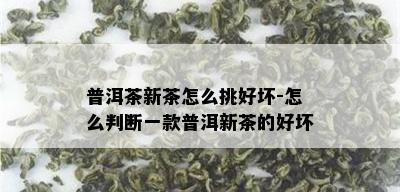 普洱茶新茶怎么挑好坏-怎么判断一款普洱新茶的好坏