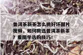 普洱茶新茶怎么挑好坏图片视频，如何挑选普洱茶新茶？看图学选购技巧！