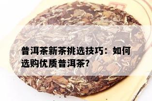 普洱茶新茶挑选技巧：如何选购优质普洱茶？