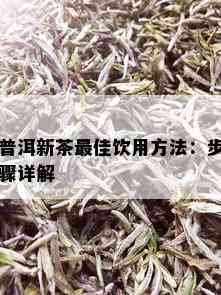 普洱新茶更佳饮用方法：步骤详解