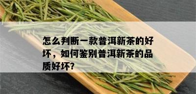 怎么判断一款普洱新茶的好坏，如何鉴别普洱新茶的品质好坏？