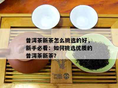 普洱茶新茶怎么挑选的好，新手必看：如何挑选优质的普洱茶新茶？